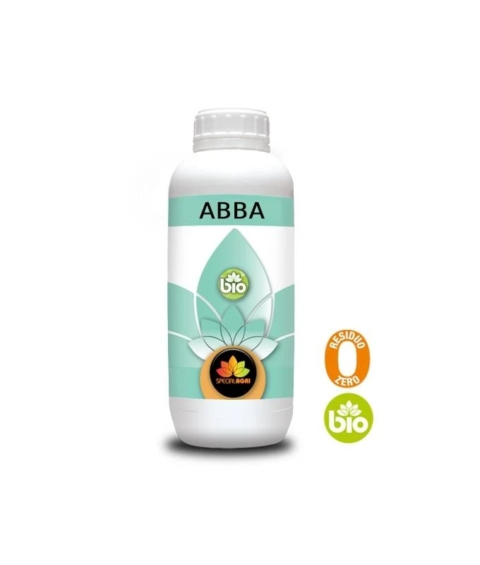 ABBA