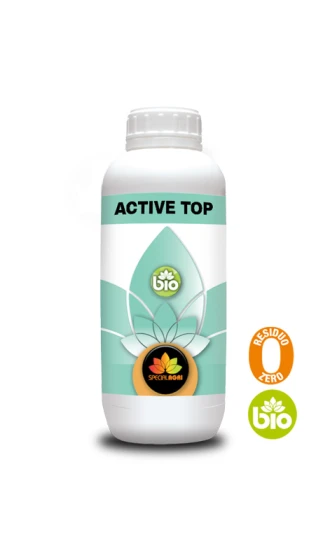 ACTIVE TOP