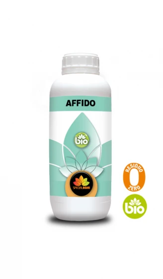 AFFIDO