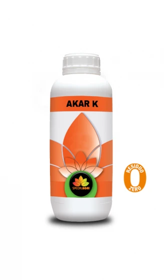 AKAR K