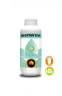 BIOSTAR TOP