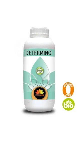 DETERMINO