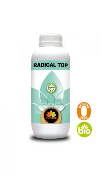 RADICAL TOP