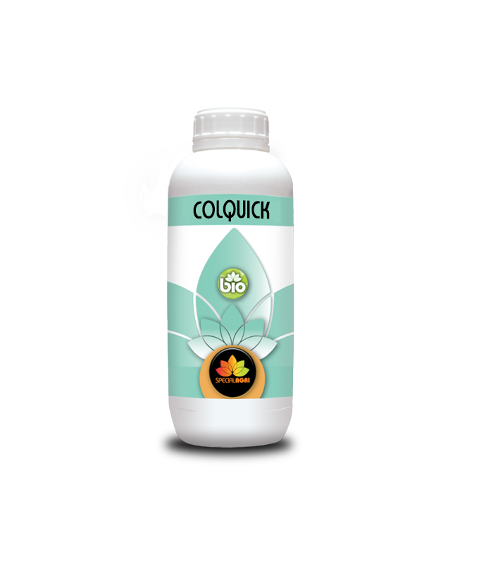 COLQUICK